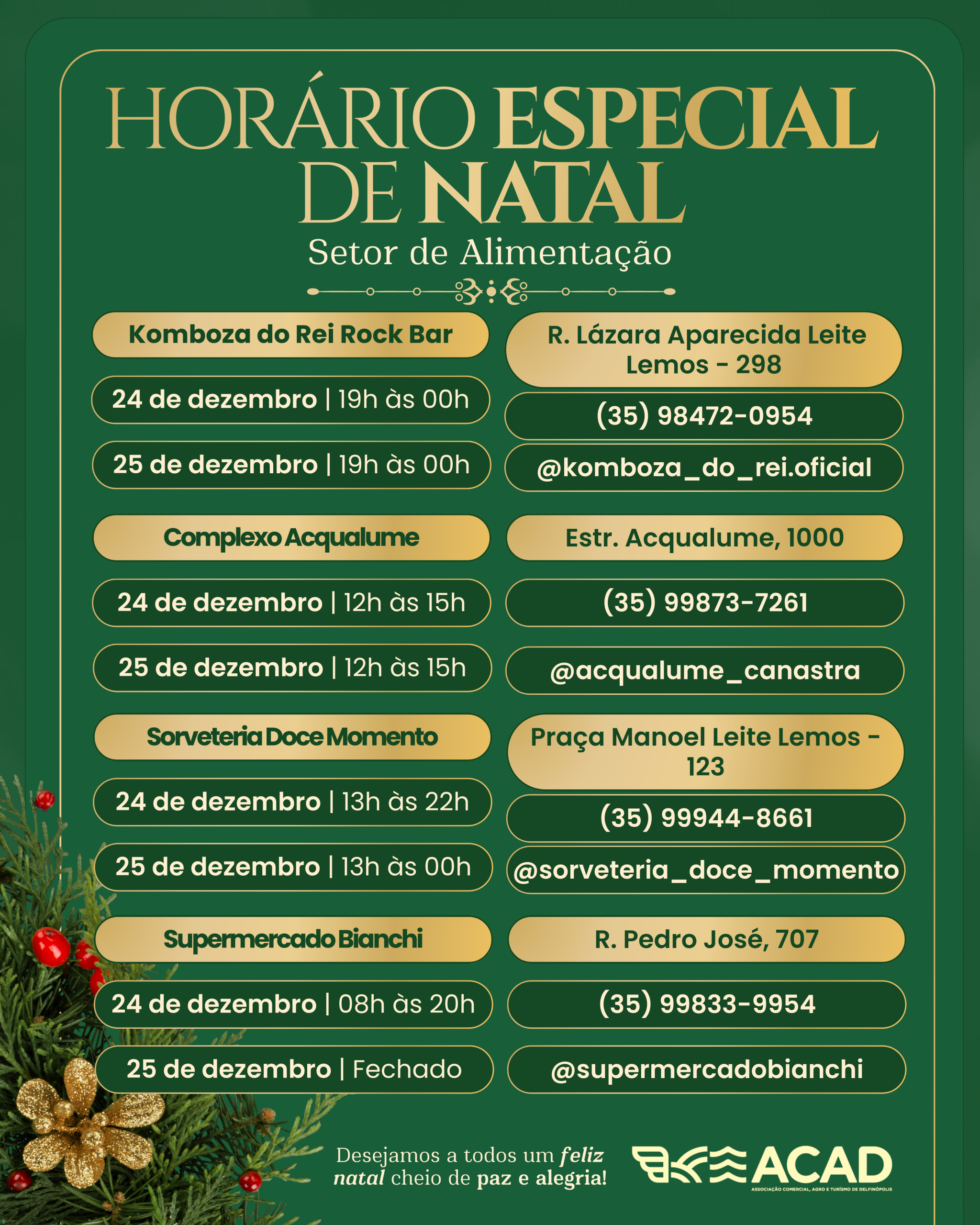Horário Especial de Natal e Ano Novo de Delfinópolis do Setor de Alimentação é divulgado pela ACAD
